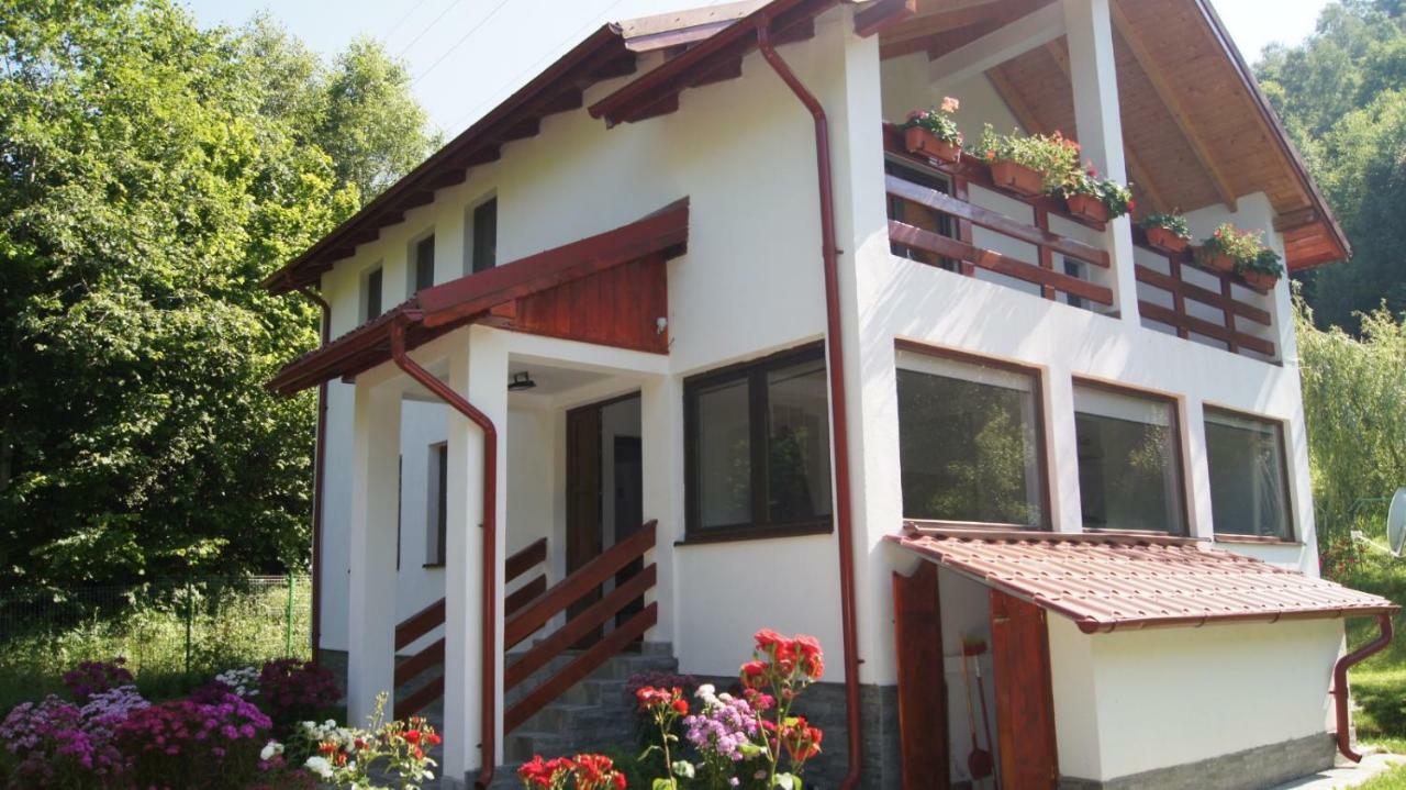 Cabana Nisipoasa Râu de Mori Exterior photo